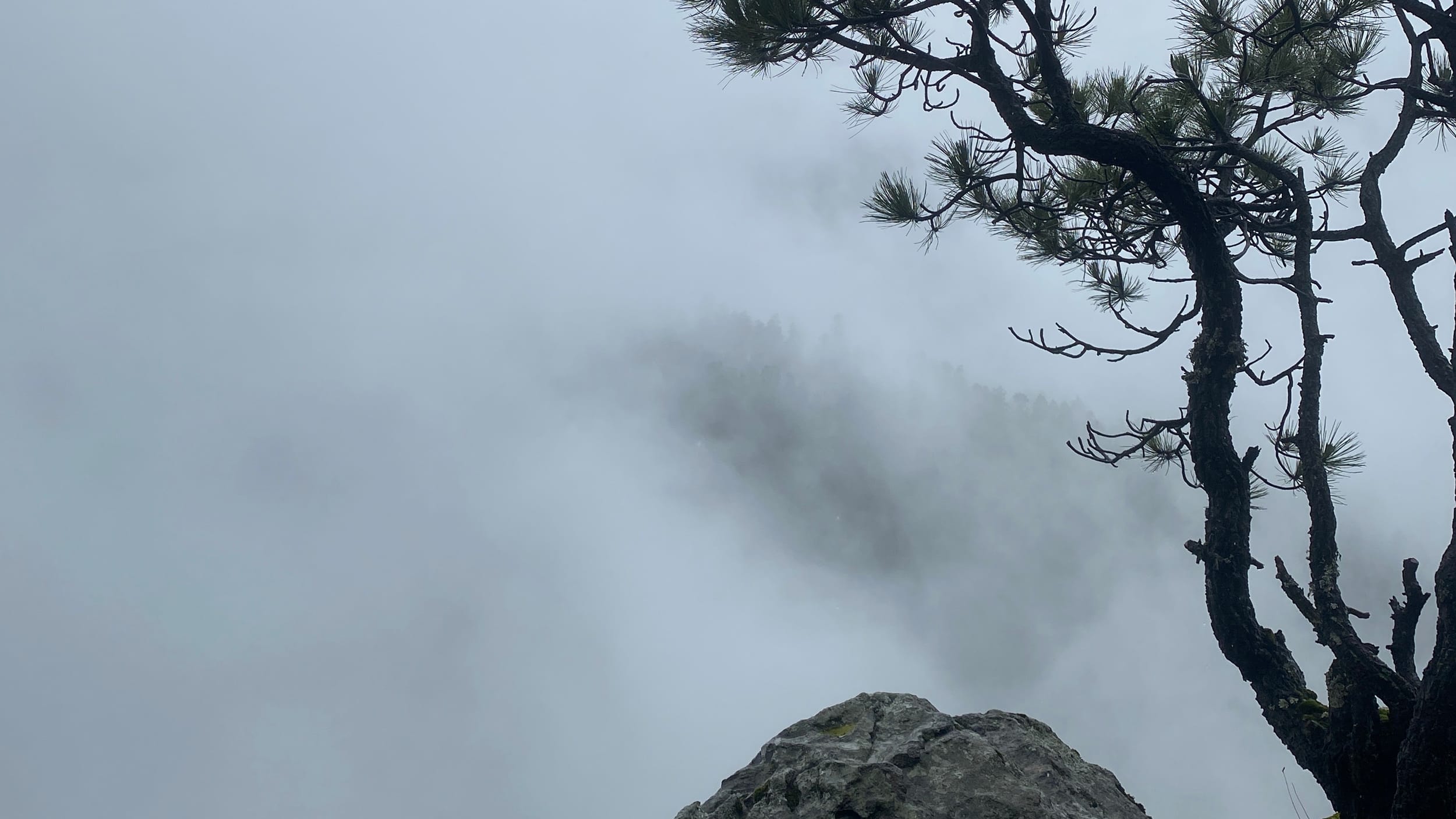 Introspecta ajusco portada hiking trekking montañismo y senderismo