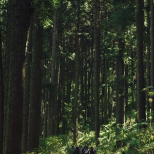 Nevado Valle Edición Dia de Muertos